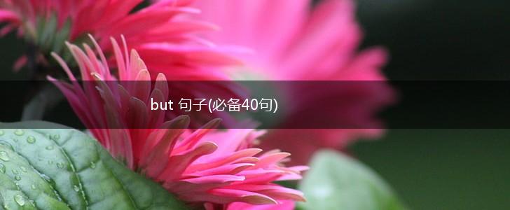 but 句子(必备40句),第1张