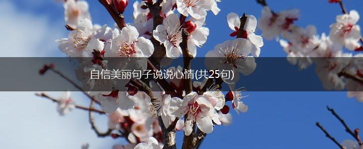 自信美丽句子说说心情(共25句),第1张
