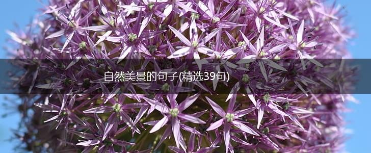 自然美景的句子(精选39句),第1张