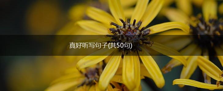 真好听写句子(共50句),第1张