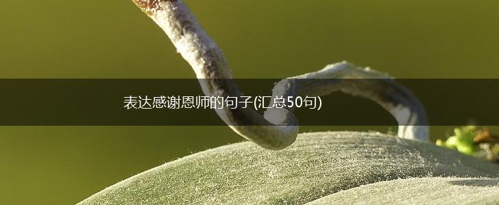 表达感谢恩师的句子(汇总50句),第1张