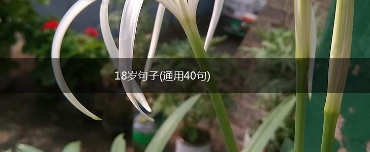 18岁句子(通用40句),第1张