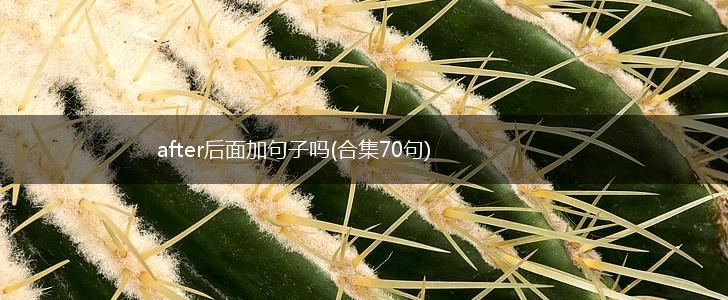 after后面加句子吗(合集70句),第1张