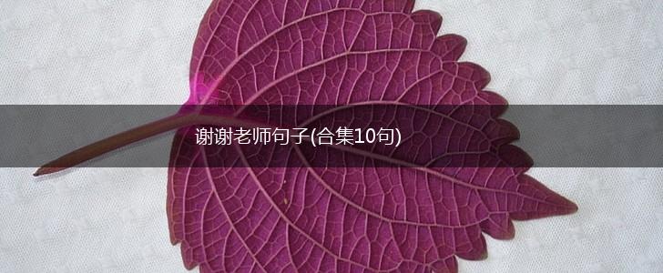 谢谢老师句子(合集10句),第1张