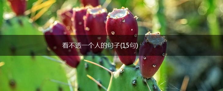 看不透一个人的句子(15句),第1张