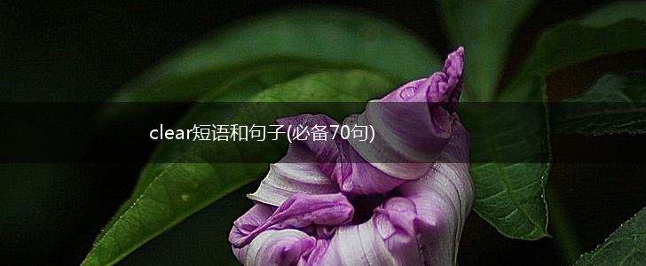 clear短语和句子(必备70句),第1张