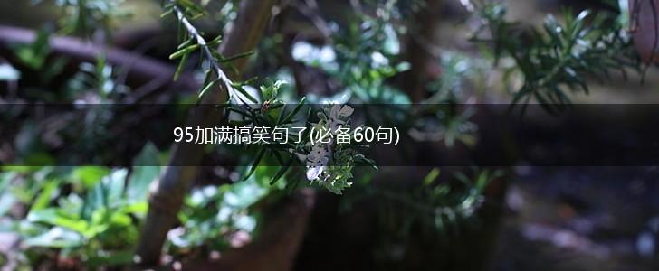 95加满搞笑句子(必备60句),第1张