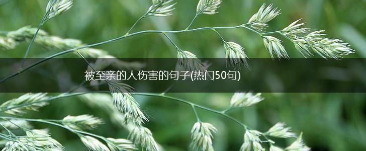 被至亲的人伤害的句子(热门50句),第1张