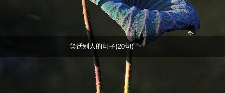 笑话别人的句子(20句),第1张