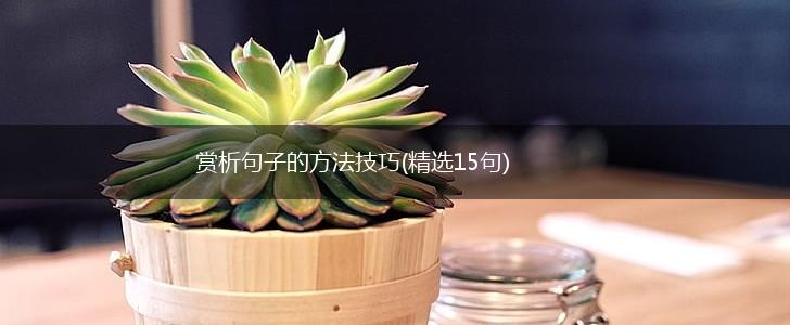 赏析句子的方法技巧(精选15句),第1张