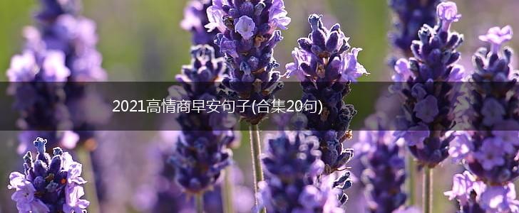 2021高情商早安句子(合集20句),第1张