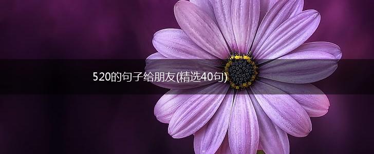 520的句子给朋友(精选40句),第1张