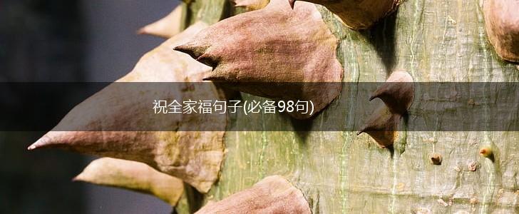 祝全家福句子(必备98句),第1张