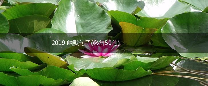 2019 幽默句子(必备50句),第1张