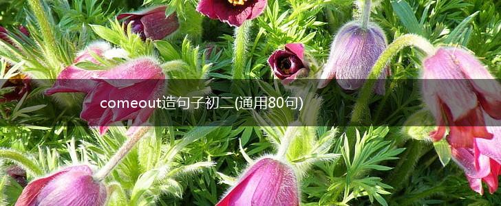 comeout造句子初二(通用80句),第1张