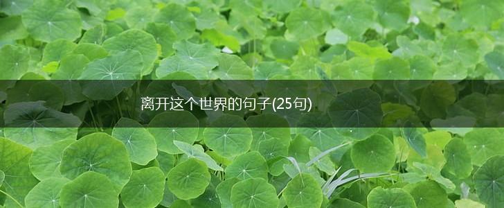 离开这个世界的句子(25句),第1张