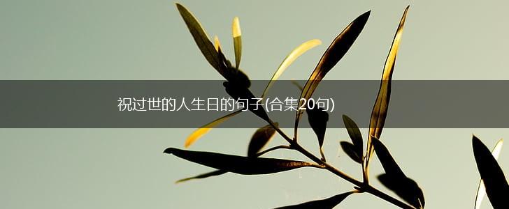 祝过世的人生日的句子(合集20句),第1张