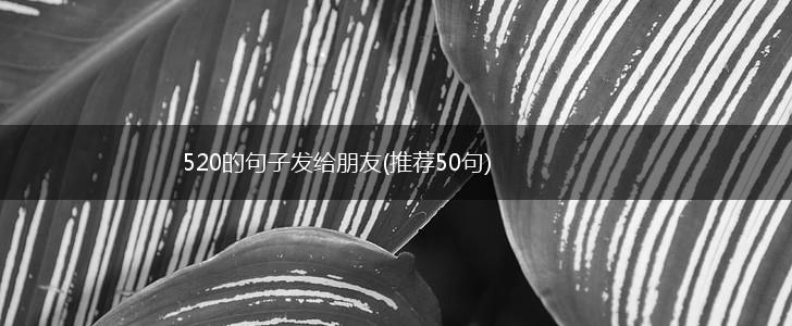 520的句子发给朋友(推荐50句),第1张