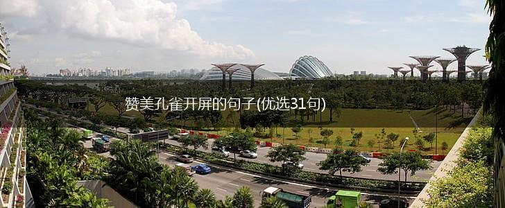 赞美孔雀开屏的句子(优选31句),第1张