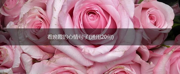 看晚霞的心情句子(通用20句),第1张