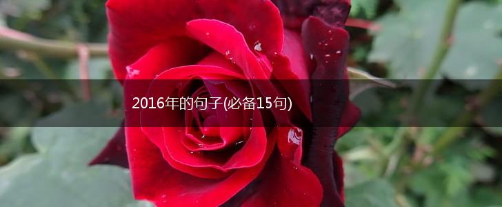 2016年的句子(必备15句),第1张