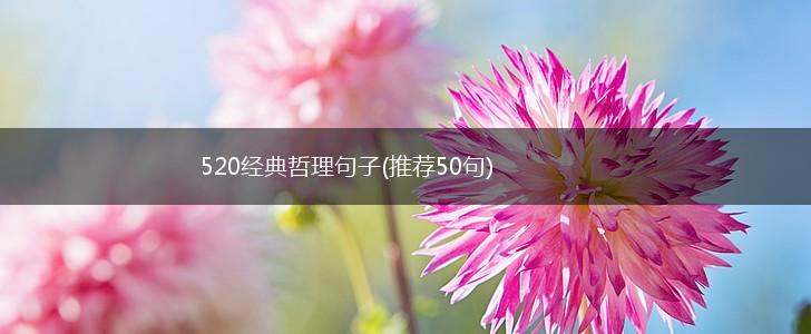 520经典哲理句子(推荐50句),第1张