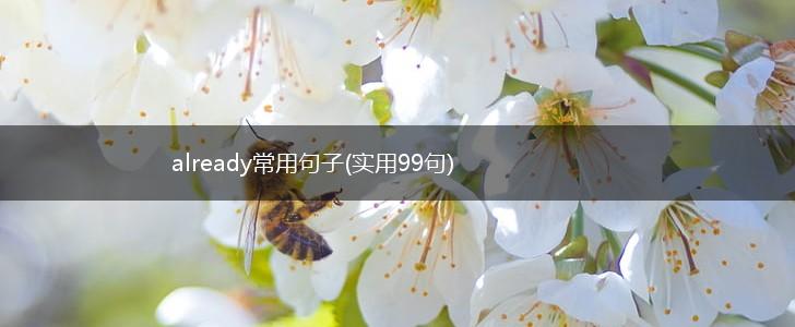 already常用句子(实用99句),第1张