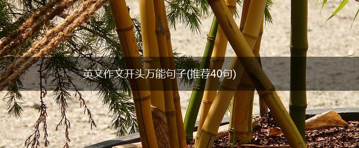 英文作文开头万能句子(推荐40句),第1张