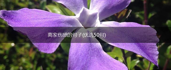 离家伤感的句子(优选50句),第1张