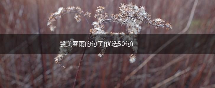 赞美春雨的句子(优选50句),第1张