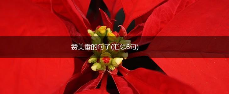 赞美蚕的句子(汇总6句),第1张