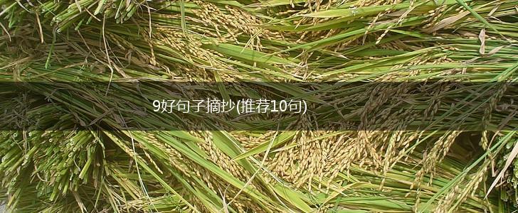 9好句子摘抄(推荐10句),第1张