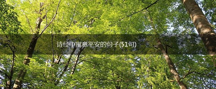 诗经中寓意平安的句子(51句),第1张