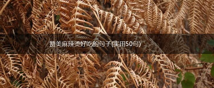 赞美麻辣烫好吃的句子(实用50句),第1张