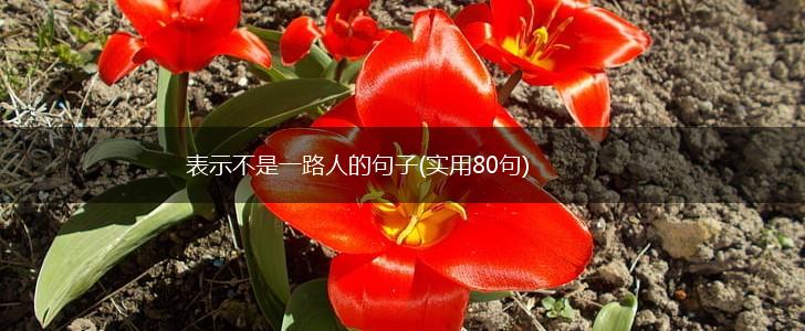 表示不是一路人的句子(实用80句),第1张