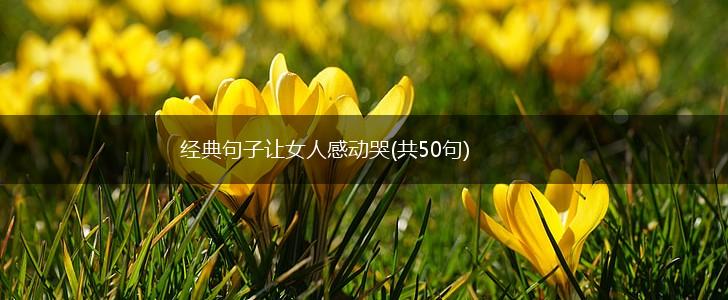 经典句子让女人感动哭(共50句),第1张