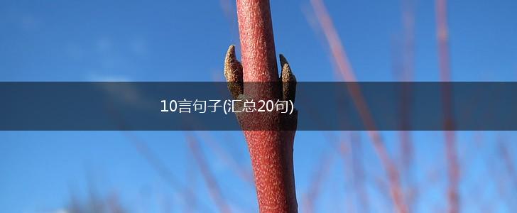 10言句子(汇总20句),第1张