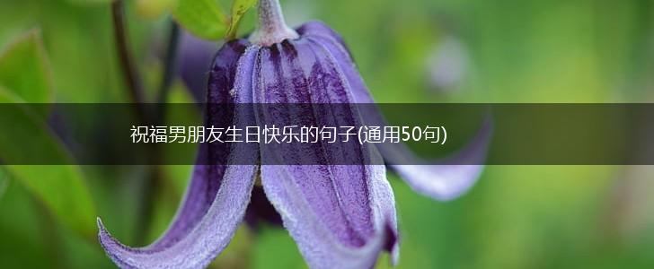 祝福男朋友生日快乐的句子(通用50句),第1张