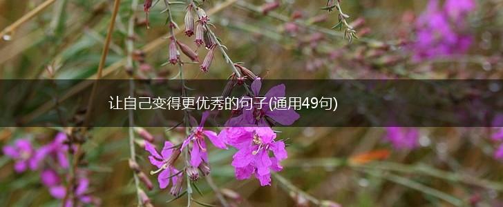 让自己变得更优秀的句子(通用49句),第1张