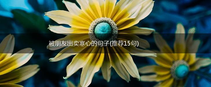 被朋友出卖寒心的句子(推荐15句),第1张