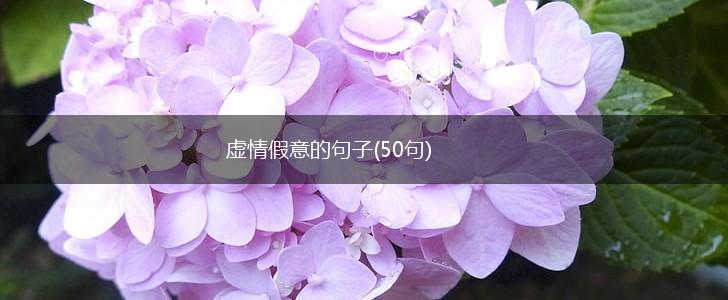 虚情假意的句子(50句),第1张
