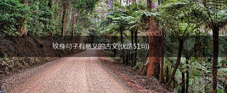 纹身句子有意义的古文(优选51句),第1张