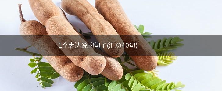 1个表达说的句子(汇总40句),第1张