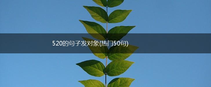 520的句子发对象(热门50句),第1张