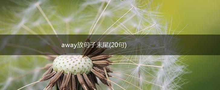 away放句子末尾(20句),第1张