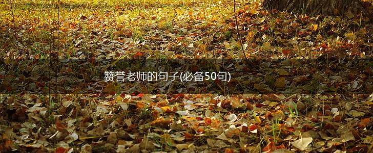 赞誉老师的句子(必备50句),第1张