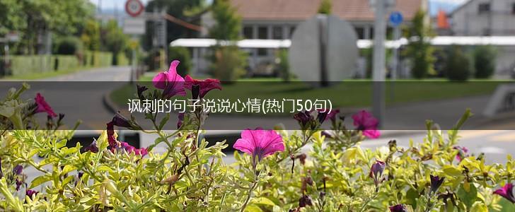 讽刺的句子说说心情(热门50句),第1张