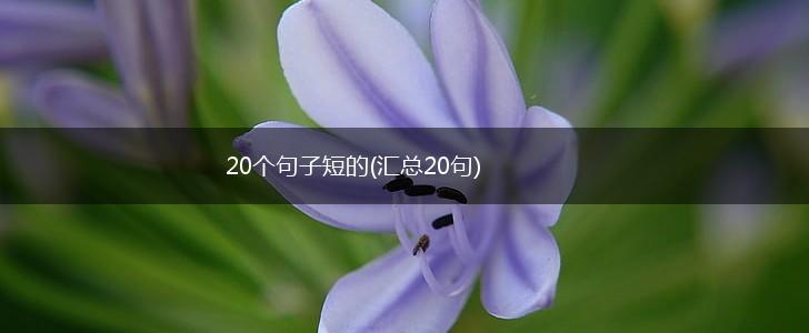20个句子短的(汇总20句),第1张