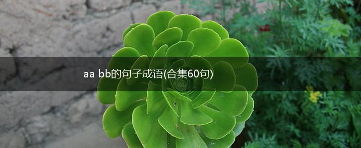 aa bb的句子成语(合集60句),第1张
