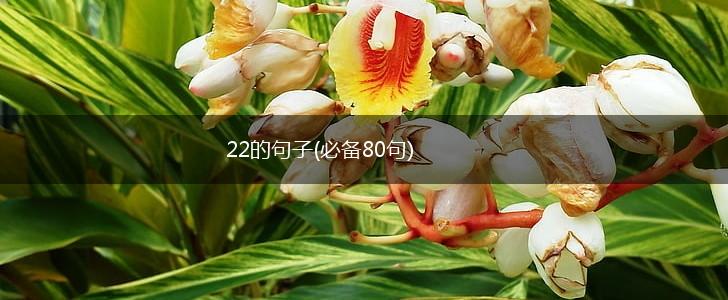 22的句子(必备80句),第1张